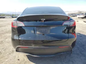 تسلا واي Tesla y