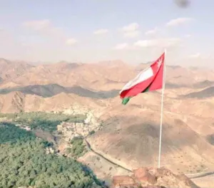 سليم الغداني 