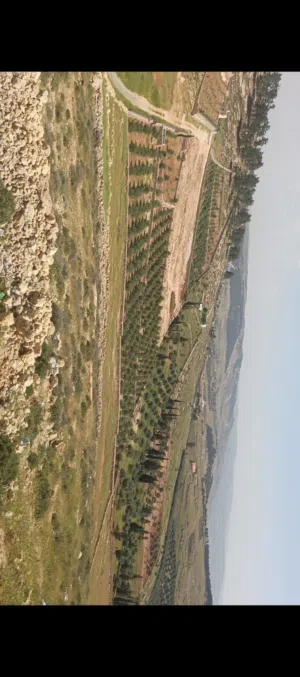 Mixed Use Land for Sale in Jerash Other