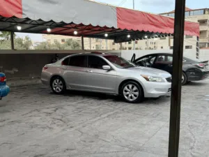 2008 honda accord