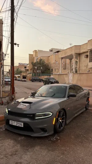 جارجر سكات باك2018.