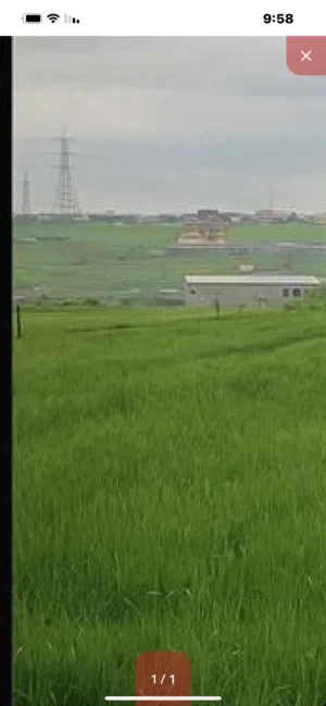 Farm Land for Sale in Madaba Al-Faisaliyyah