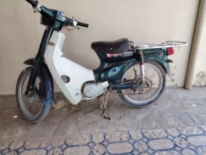 دراج للبيع