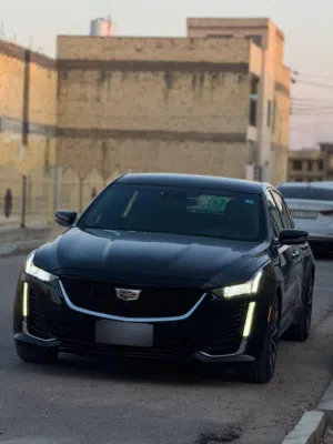 كاديلاك ct5 2023 للبيع