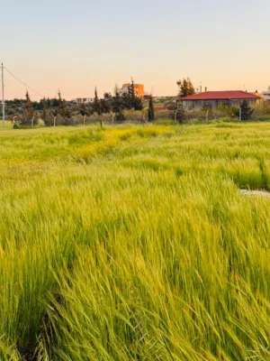 Residential Land for Sale in Amman Naour