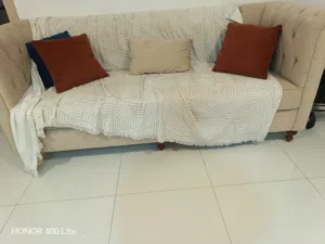 كنب شبه حديد بإستخدام بسيط مؤلف من 2 كنب كل واحدة تتسع ل 4 أشخاص + 2 كنب حجم صغير + طاولة دائرية