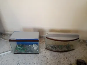 حوضين سمك للبيع جبتهم وما ستعملتهم