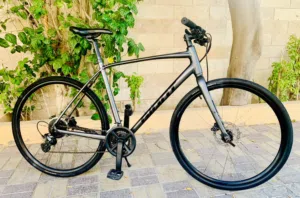 Giant Escape Hybrid Bike