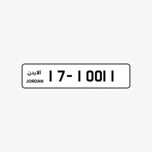 17 - 10011