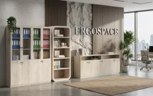 Office Storage Solutions for Sale in Dubai, UAE  Ergospace