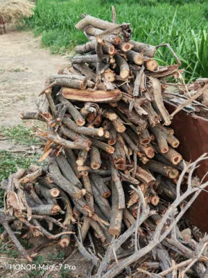 حطب سمر للبيع احجز واطلب التوصيل لمكانك
