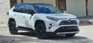 Toyota Rav4 "mesho"