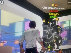 Chostero cavallero لبيع فقط