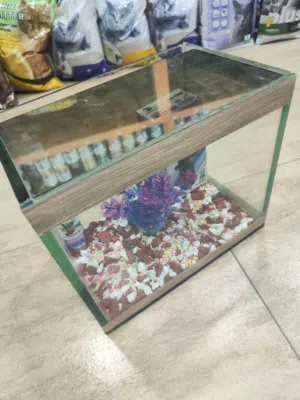 حوض سمك مجهز بالكامل المقاسات موجوده داخل الاعلان فقط عبي الماء و حط سمكاتك