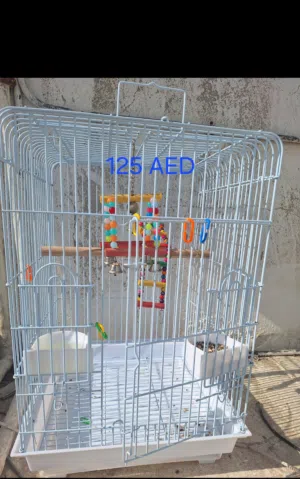 Bird large cage