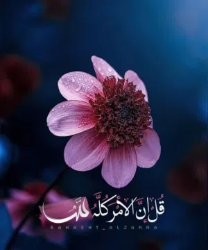 عبادي 