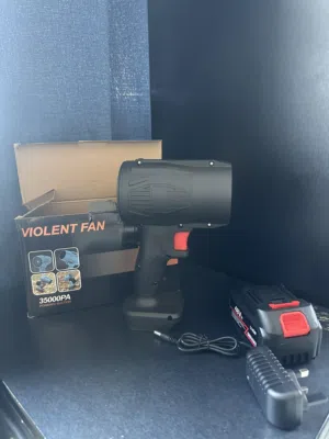 Violent fan