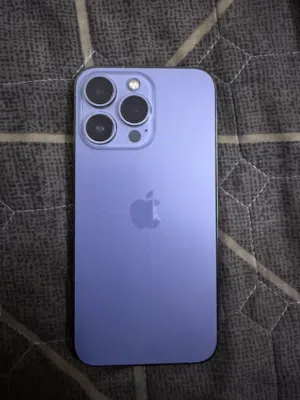 Apple iPhone 13 Pro 256 GB in Muscat