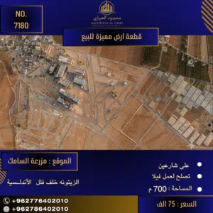 Residential Land for Sale in Amman Al-Zaytouneh