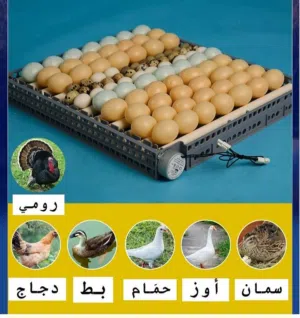 فقاسه براهمه 90 بيضه فل اوتماتيك