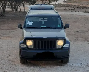 جيب لبرتي 2008