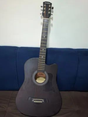 acoustic guitar