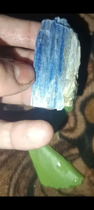 احجار الكاينت