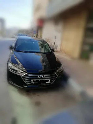 used-hyundai-elantra-in-hebron