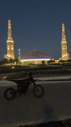 دراجة كهربائية yozma in10 (dream01)