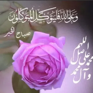 الحمد لله الشكر لله 