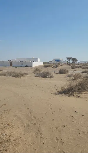 سكنيه بركاء السوادي جنوب قريب المنازل