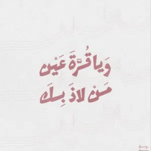آلاء مازن يوسف 