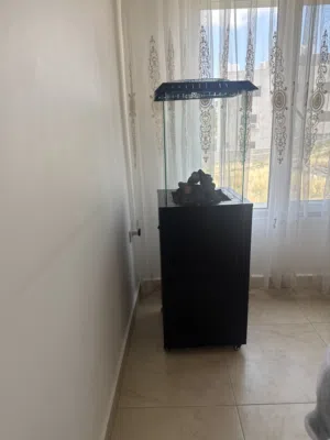 Omron fireplace