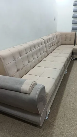 قنفات نظيفيات