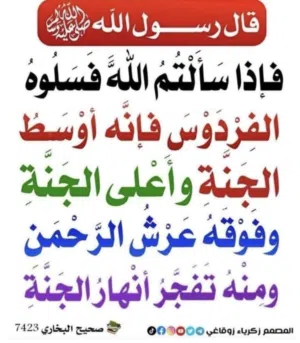 شقه للايجار غرفتين وروف في الزرقاء حي النزهه