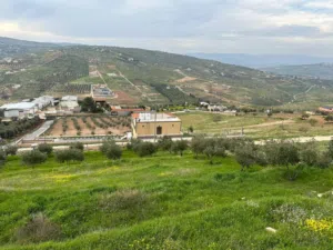 Farm Land for Sale in Zarqa Sarout