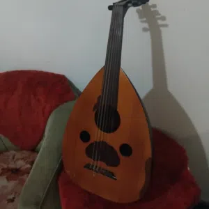 عود عراقي نظيف