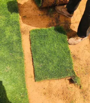 معشب طبيعي