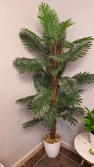 Trees - Plants4