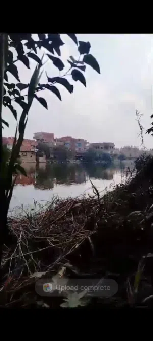 للبيع قطعه ارض كرتون مبانى بالمنوفيه على طريق