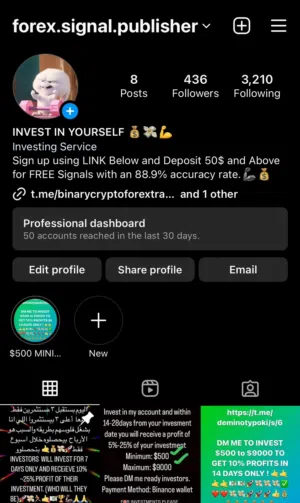 Business Consulting . Other4