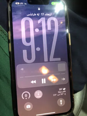 iPhone 13pro