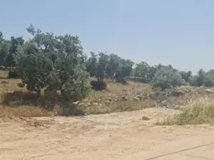 Residential Land for Sale in Amman Badr Jdedeh