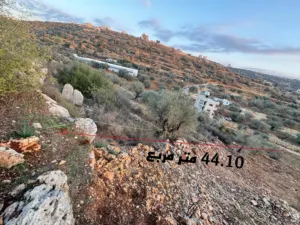 ‏الاستخدام المتعدد ‏.‏ 2733 م٢ ‏.‏ المالك‏1