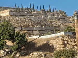 780 متر ارض في  الخليل تفوح وادي خضير