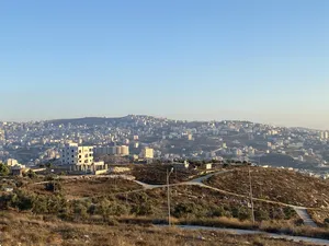 ‏سكنية ‏.‏ 500 م٢ ‏.‏ المالك‏4