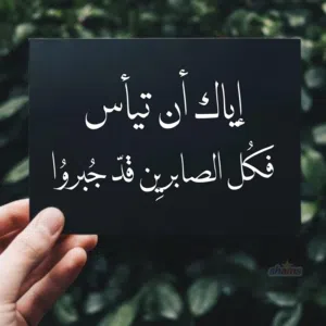 ahmed abdelgany