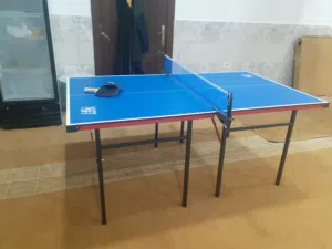طاولة تنس جونير للأطفال