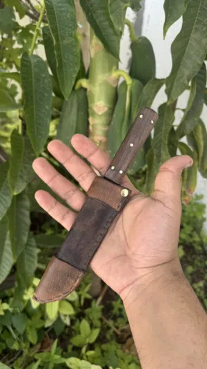 نوادر الاوكابي