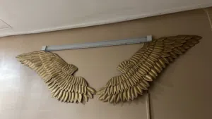 This is a wing hanging in wall just in 6 kd